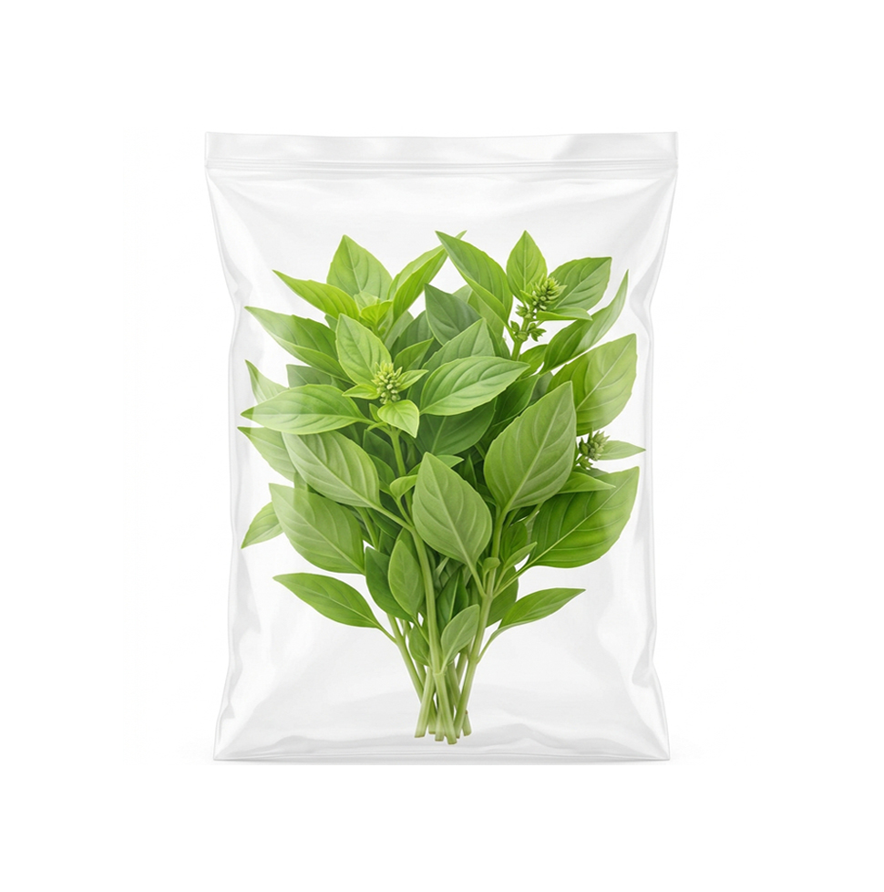 Lemon Basil (80g)