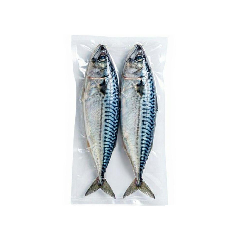 Mackerel (2P)