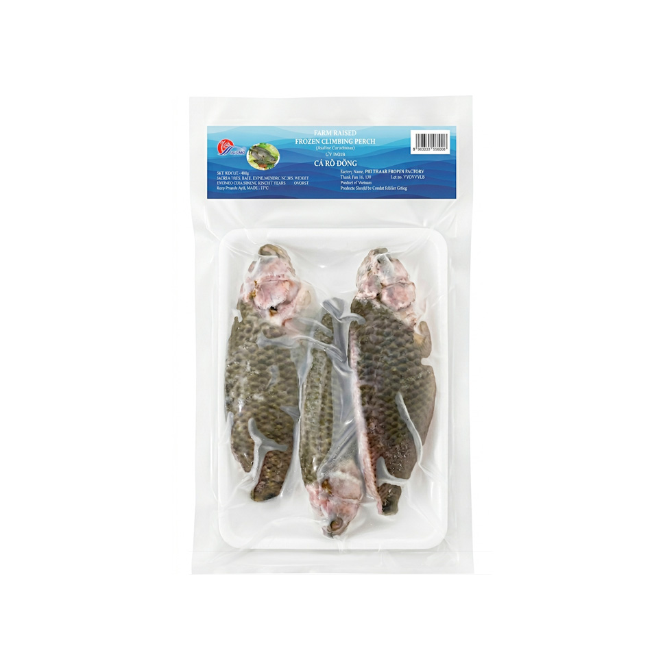 Climbing Perch (500g)