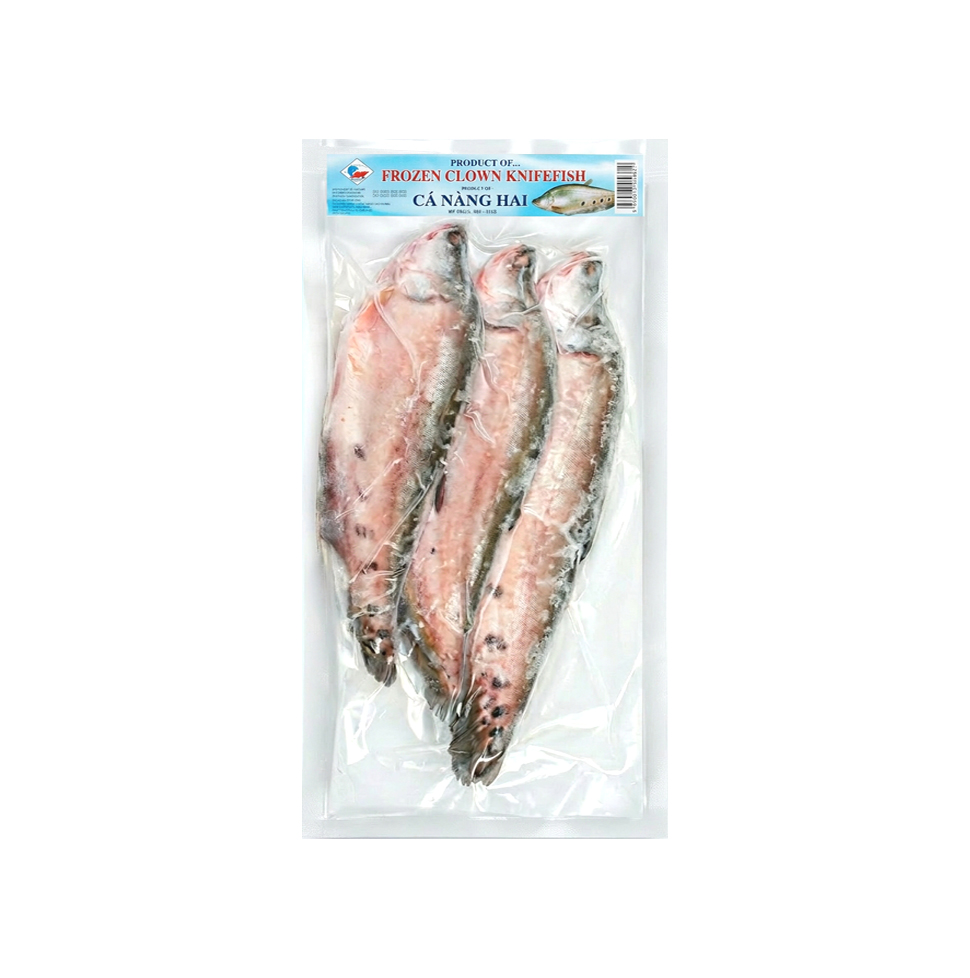Clown Knife Fish (900g)