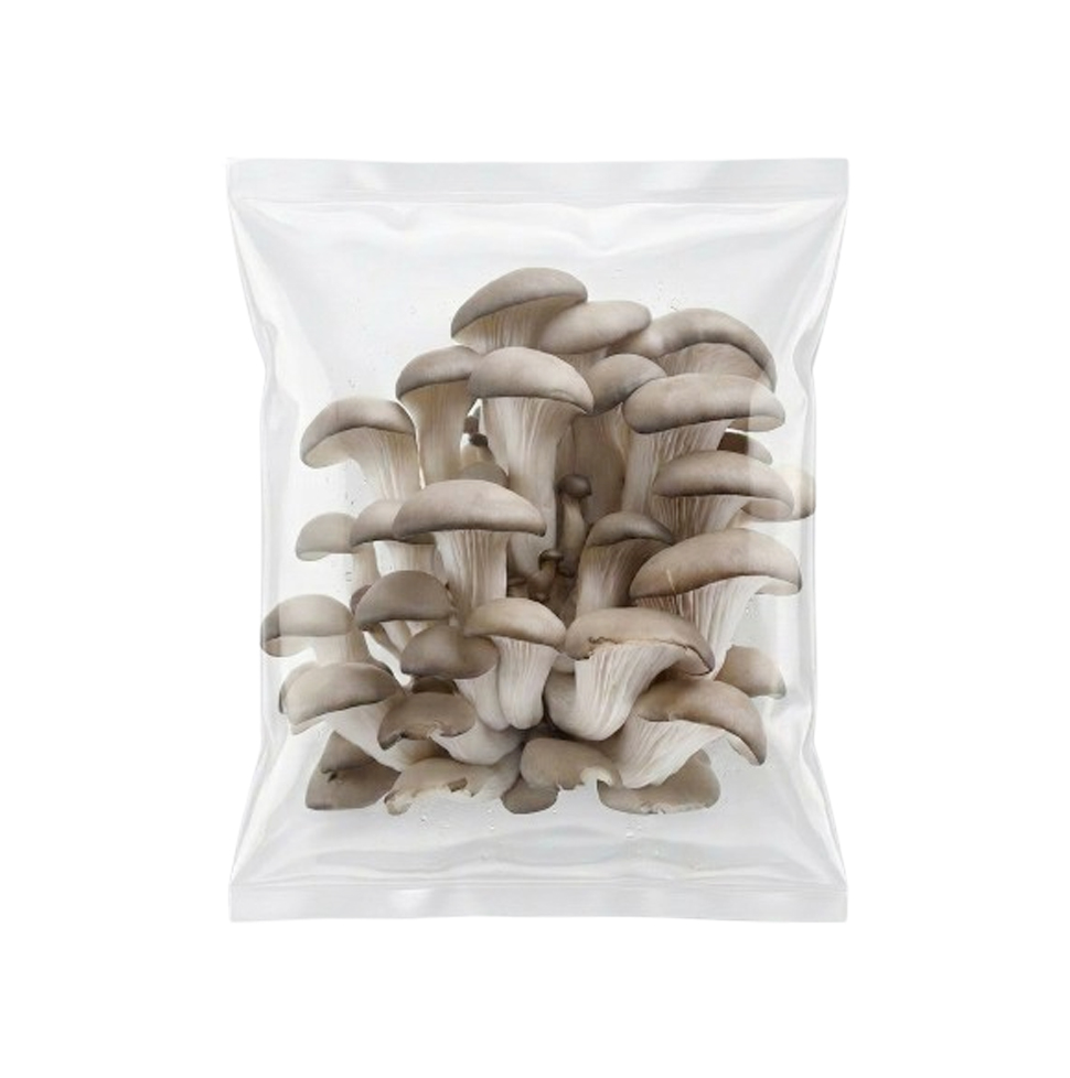 Oyster Mushroom (300g)