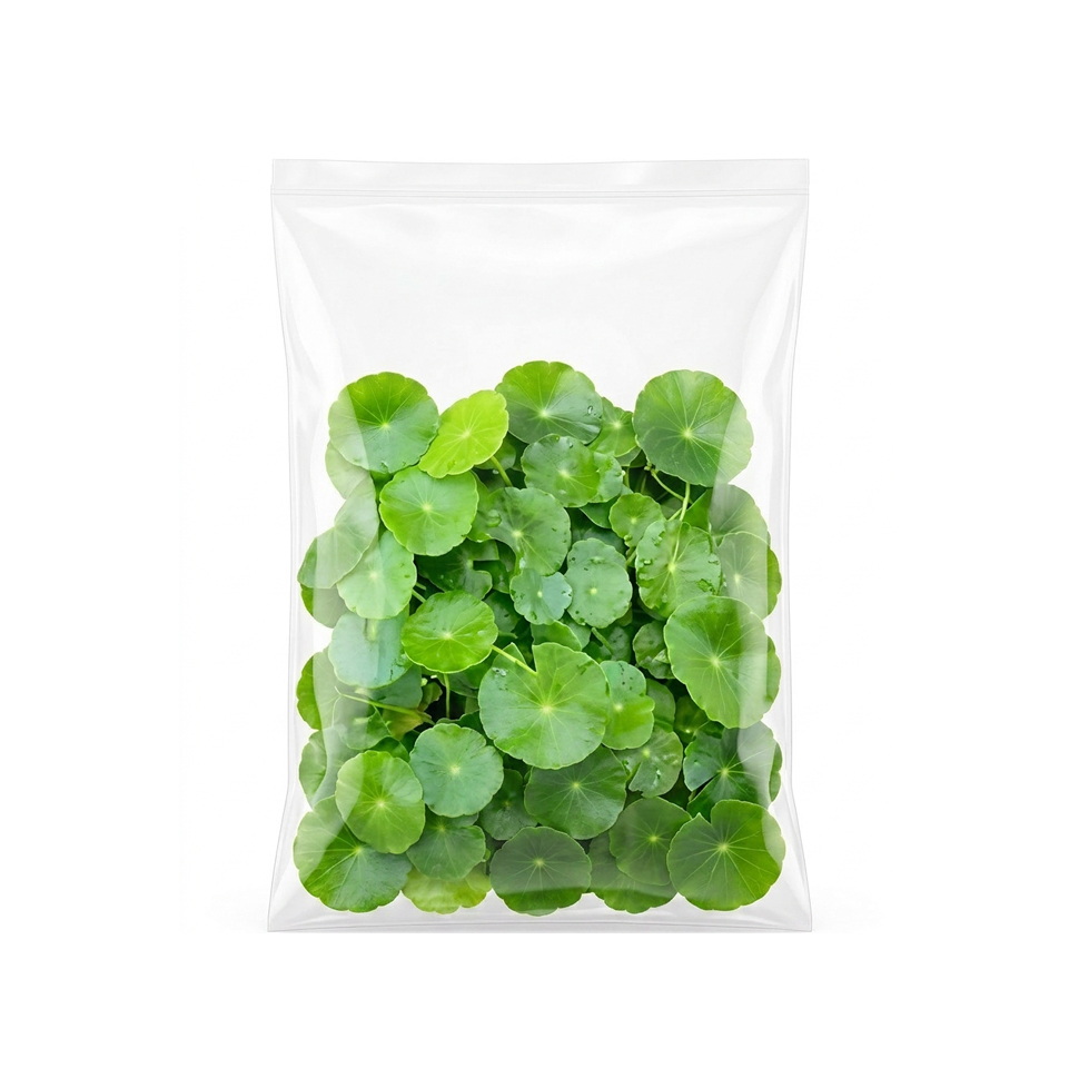 Pennywort (80g)